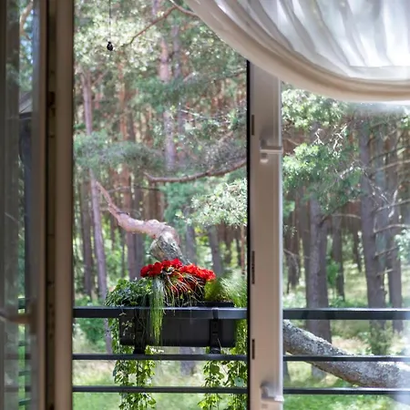 Forest Апартаменты *