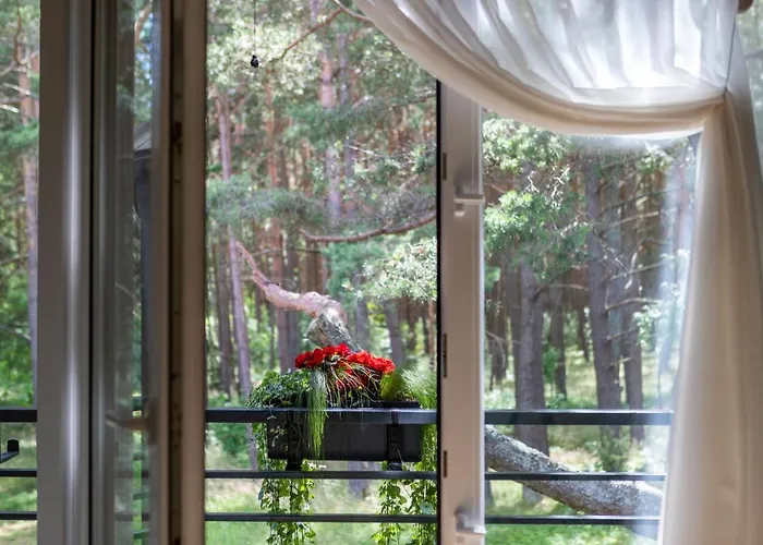 Forest Appartamento *